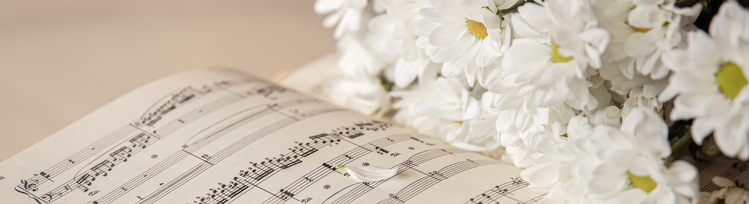 Close-up of musical notes and a bouquet of daisies flowers on a blurred background.